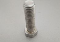 Hardware Fasteners Hex Head Bolt With White &amp; Black Color of 4.8 8.8 Grade with Iron