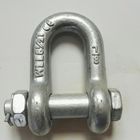 Marine Rigging Galvanized Zinc Plated Anchor Dee Shackle factory price fasteners