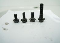 Hardware Fasteners Hex Head Bolt With White &amp; Black Color of 4.8 8.8 Grade with Iron