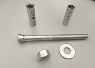 High Strength Iron Mechanical Anchor Bolt M10-M30 , Chemical Anchor Fasteners