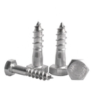 Fasteners Carbon Steel Hex Wood Screw White Zinc Plated M6-M12 Din571