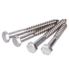 Ss 304 316 Hex Wood Screw With Zinc White DIN 571